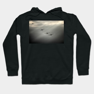 Spitfire Rays Hoodie